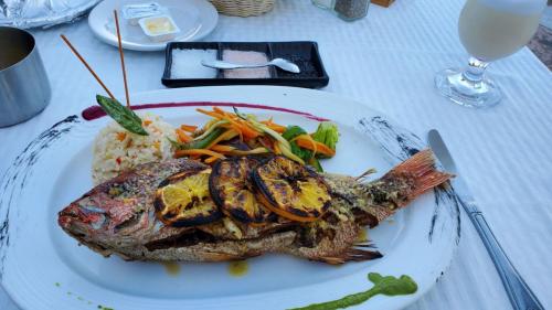 Snapper